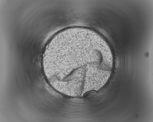 X0000112101356200909151150