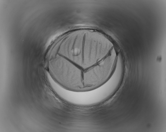 X0000112101357200909151150