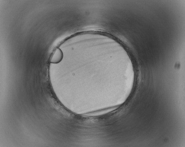 X0000112101358200909151150
