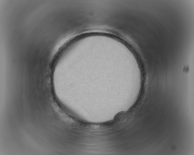 X0000112101360200909151150