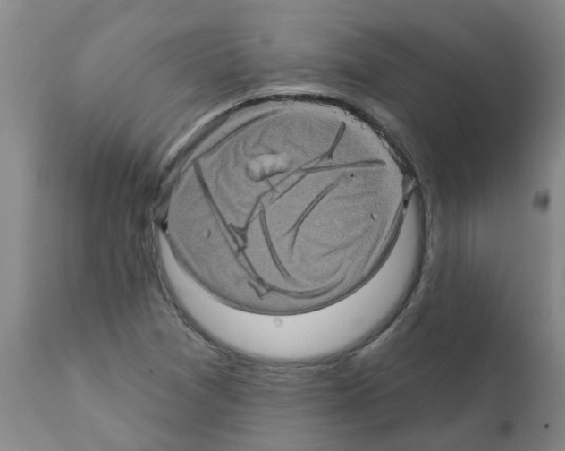 X0000112101361200909151150