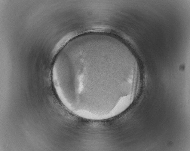 X0000112101362200909151150