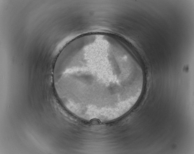 X0000112101363200909151150