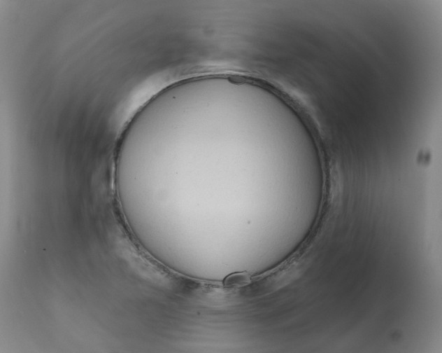 X0000112101365200909151150