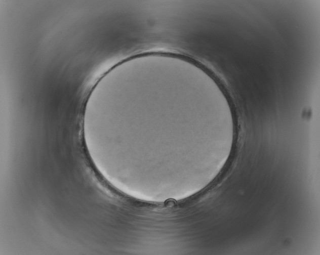 X0000112101367200909151149