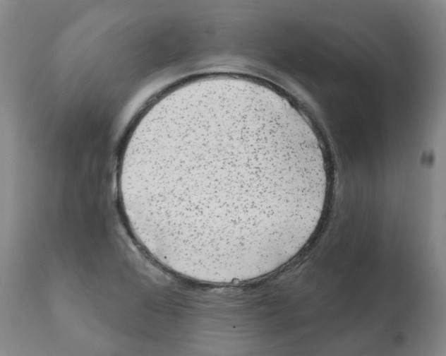 X0000112101368200909151149