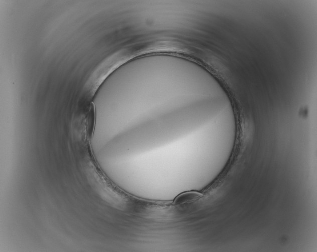 X0000112101369200909151149