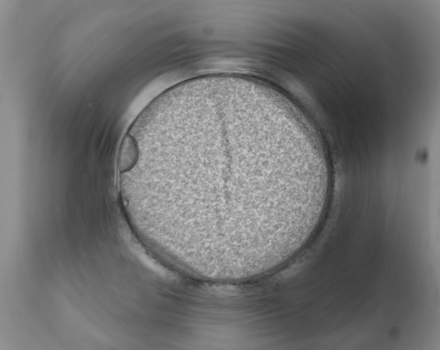 X0000112101370200909151149