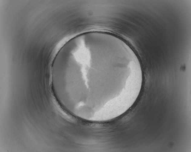 X0000112101371200909151149