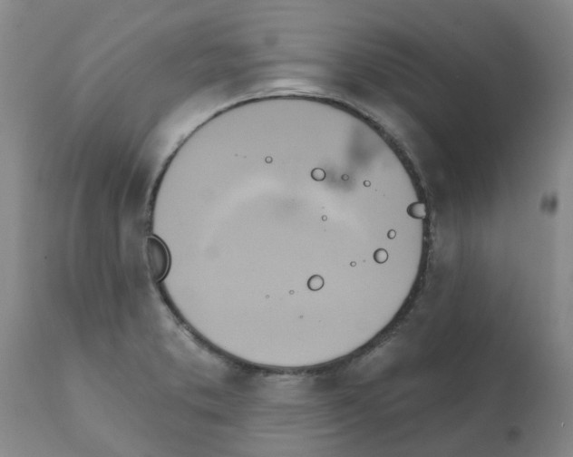 X0000112101373200909151149