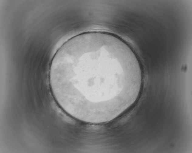 X0000112101374200909151149