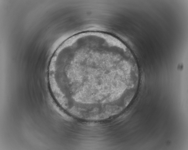 X0000112101375200909151149