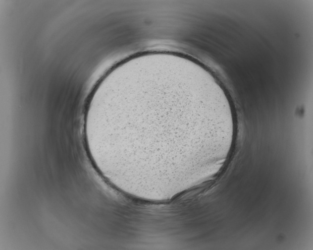 X0000112101376200909151149