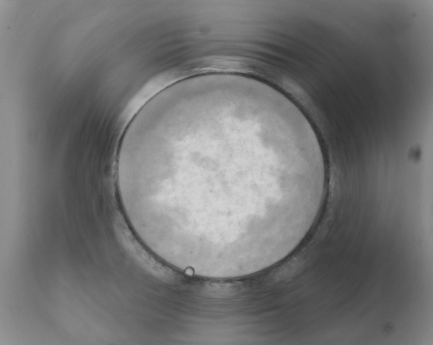 X0000112101378200909151149