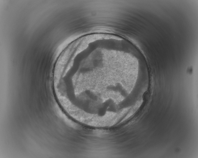 X0000112101379200909151149