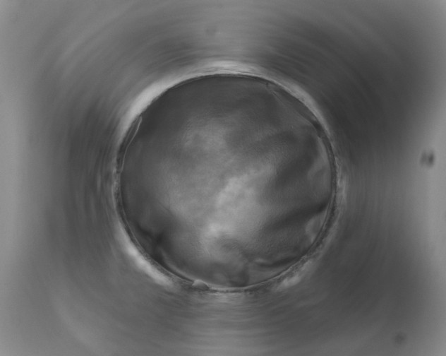 X0000112101381200909151149