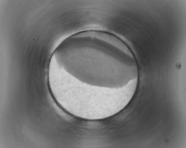X0000112101383200909151149