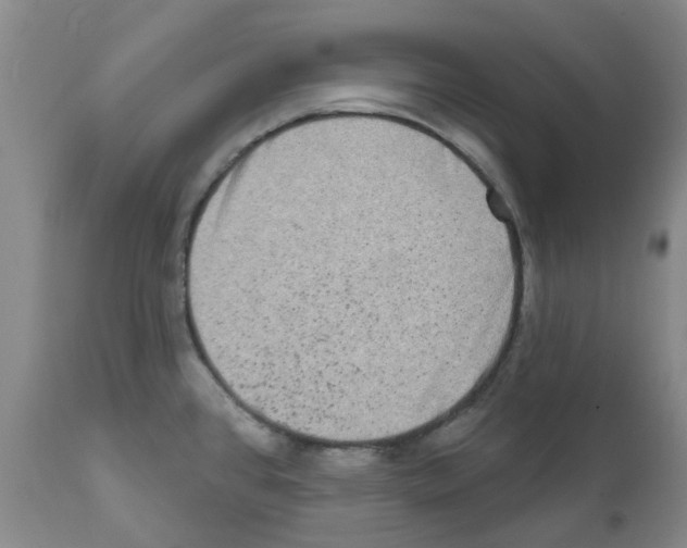 X0000112101384200909151149