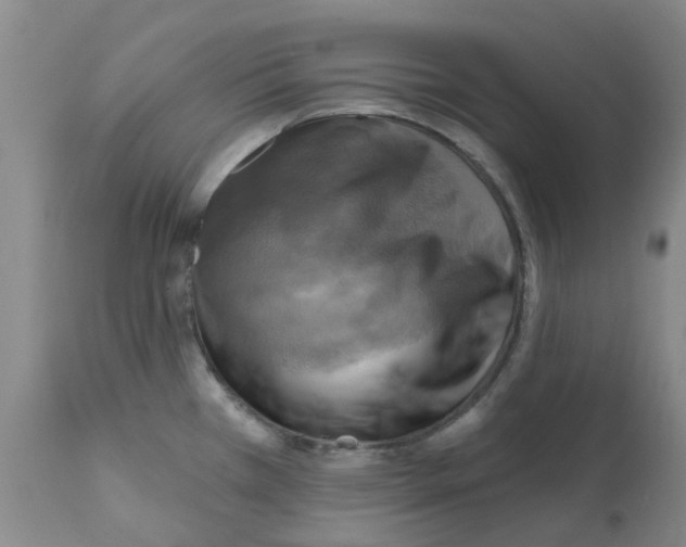 X0000112101385200909151149