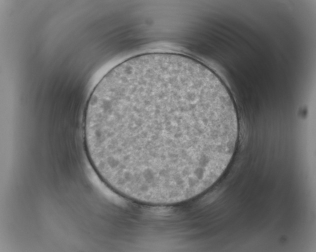 X0000112101387200909151149
