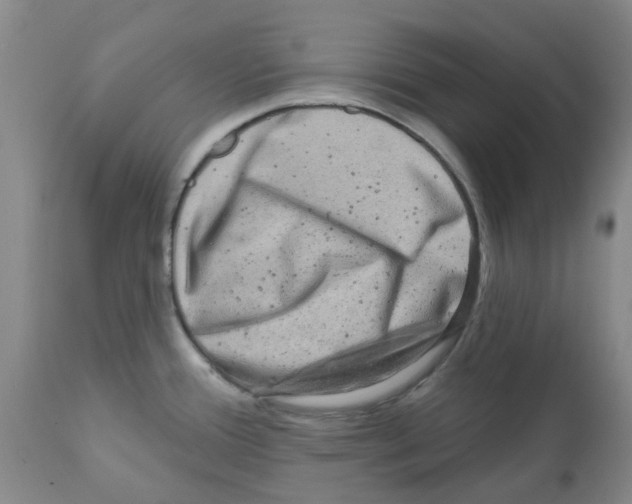 X0000112101388200909151149