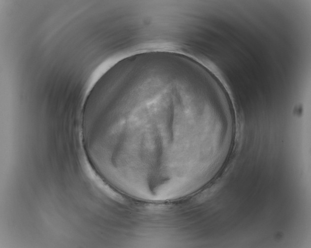 X0000112101389200909151149