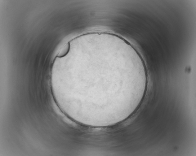 X0000112101390200909151149