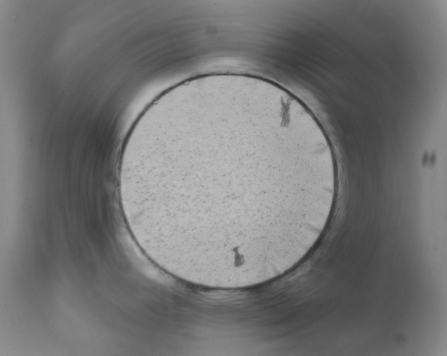 X0000112101392200909151149
