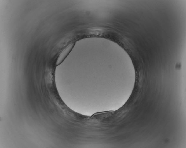 X0000112101394200909151148