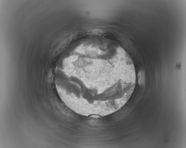 X0000112101395200909151148