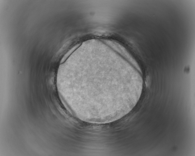 X0000112101396200909151148