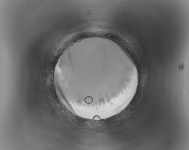 X0000112101397200909151148