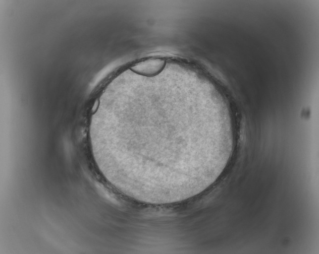 X0000112101400200909151148
