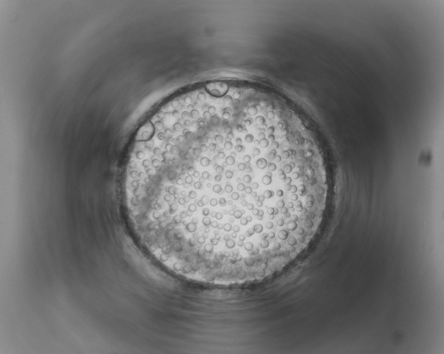 X0000112101404200909151148