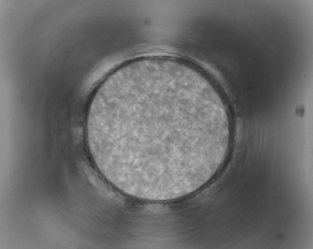 X0000112101407200909151149