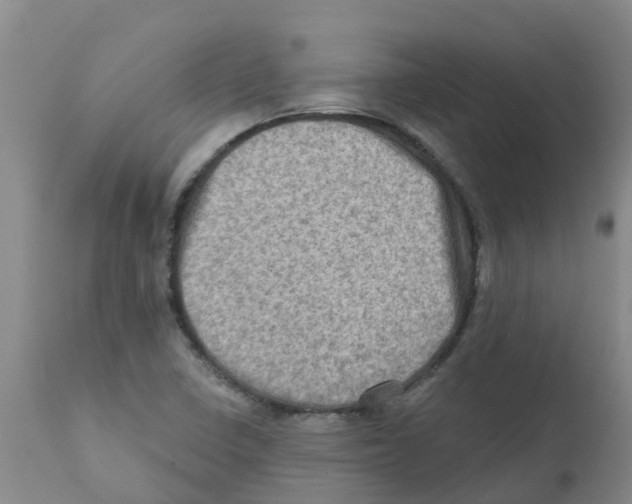 X0000112101410200909151149