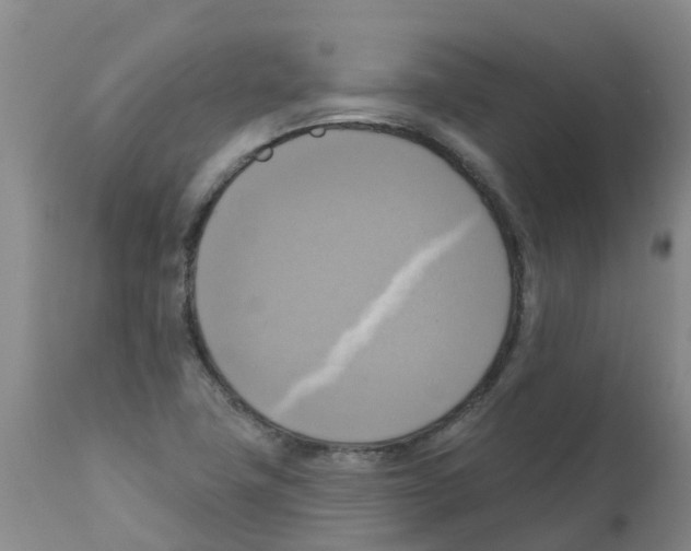 X0000112101411200909151149
