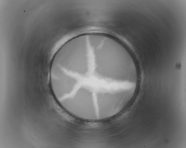 X0000112101413200909151149