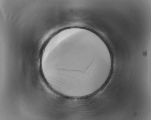 X0000112101414200909151149