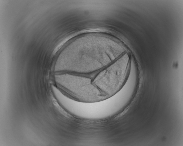 X0000112101417200909151149