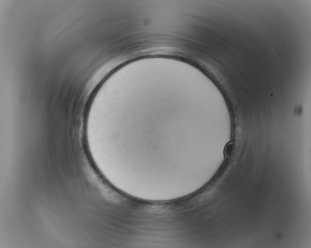 X0000112101418200909151149
