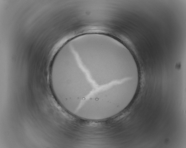 X0000112101419200909151149