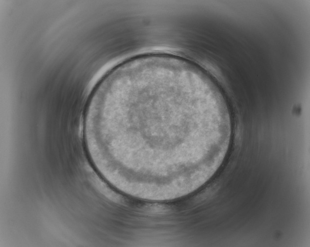 X0000112101420200909151149