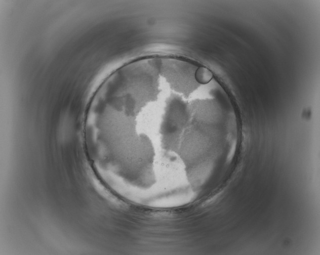 X0000112101421200909151149