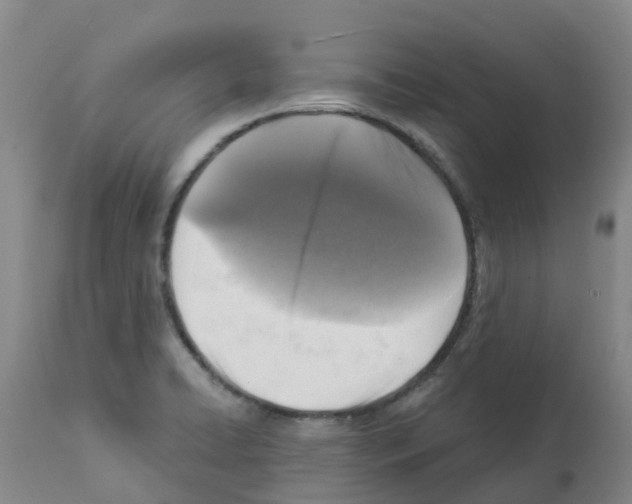 X0000112101422200909151149