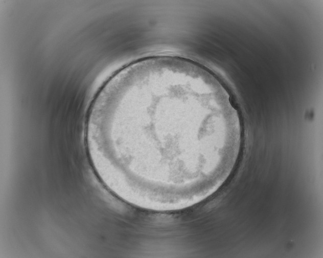 X0000112101424200909151149