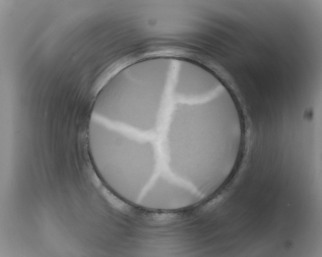 X0000112101425200909151149