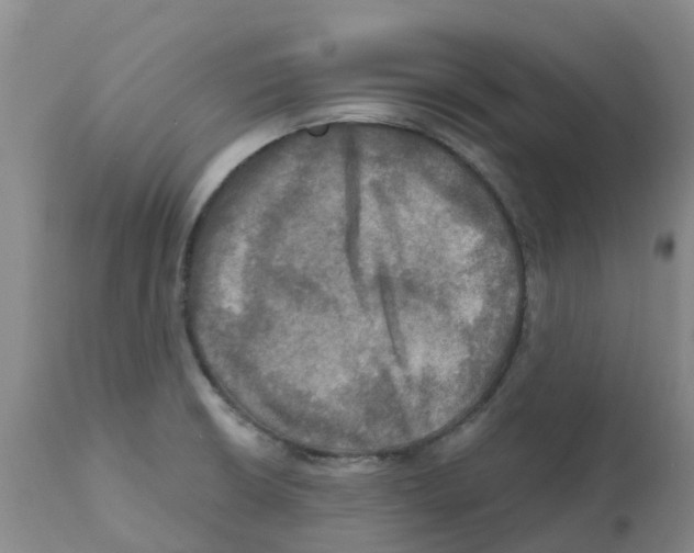 X0000112101426200909151149