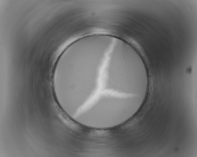 X0000112101427200909151149