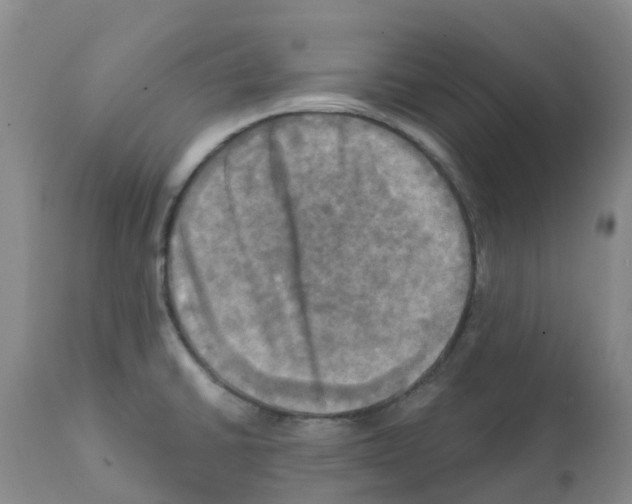 X0000112101430200909151149